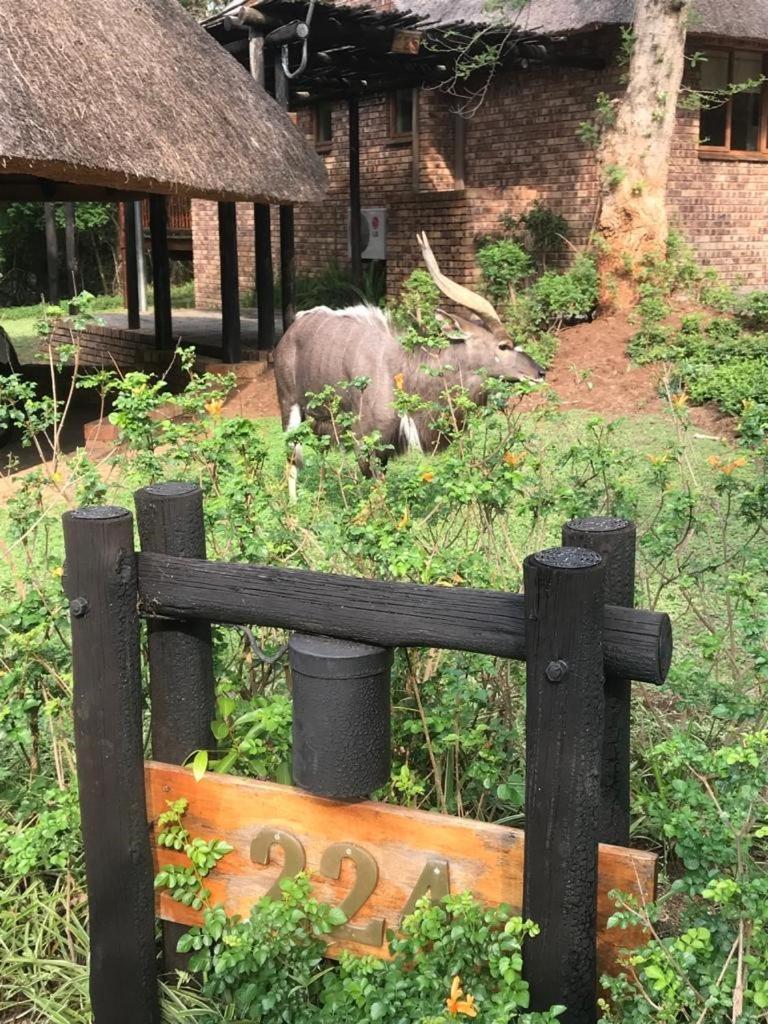 Kruger Park Lodge, Kubu Lodge 224 Hazyview Buitenkant foto